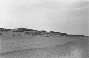 Düne : Düne am Strand des Kurischen Haffs.