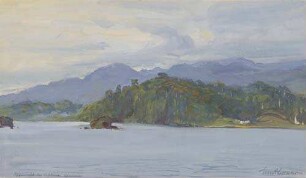 Affeninsel bei Viktoria. Kamerun