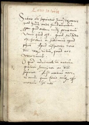 Euris in turba