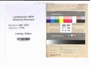Entnazifizierung Walter Liening , geb. 15.01.1907 (Jurist)