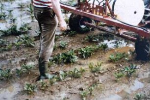 Fotografie: Pflanzenschutz, Feldspritze, Feldspritze gezogen, Sonderfahrzeug