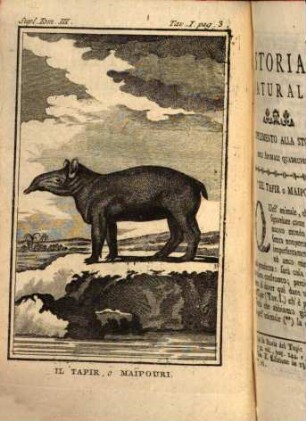 Storia Naturale Generale E Particolare : Per servire di seguito Alla Storia Degli Animali Quadrupedi, 3 = Suppl.