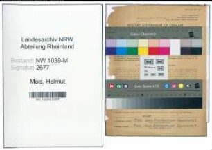 Entnazifizierung Helmut Meis , geb. 23.10.1900 (Chemiker)