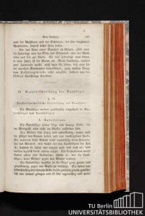 II. Naturbeschreibung der Bauhölzer.