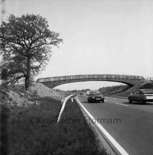 Ostring: 2. Abschnitt: links und rechts Böschung: links Baum: rechts Pkws: dahinter Fußgängerbrücke zwischen Starweg und Elchweg