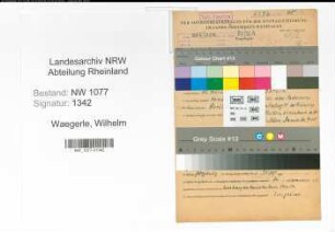 Entnazifizierung Wilhelm Waegerle , geb. 13.02.1901 (Polizist)