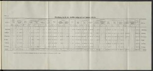 Belastung durch die Unfälle während des Jahres 1915.