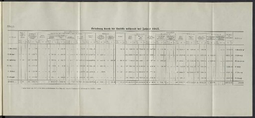 Belastung durch die Unfälle während des Jahres 1915.