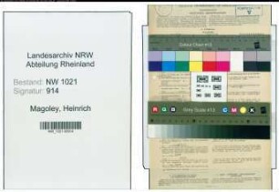 Entnazifizierung Heinrich Magoley , geb. 31.01.1867 (Brieftraeger)