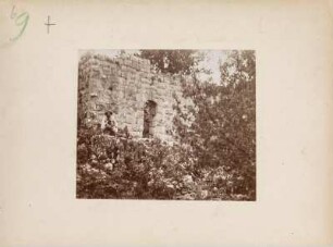 Ruine : Ruine auf Kalkklippen im Kiefernwald.