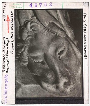 Michelangelo: Bacchus und Faun, Detail, Löwenkopf. Florenz, Museo Nazionale