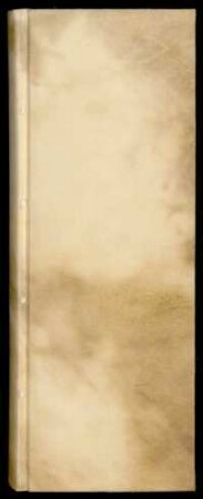 Johannes de Rupescissa. Winandus de Rufo Clipeo. Ps.-Raimundus Lullus. Arnoldus de Villa Nova. Zadith Senior. Ps.-Rogerus Bacon. Ps.-Geber. Ferrarius. Ps.-Michael Scotus. chemische Experimente