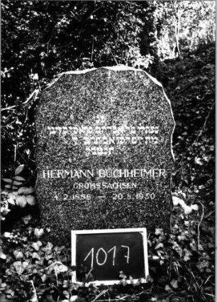Grabstein 1017 (Index: 99803890) Material: Granit; Granit, poliert Zustand: sehr gut Maße HxBxT: 100x62x17 cm Beschreibung: Stele, grob behauene Naturform: Grabstein 1017