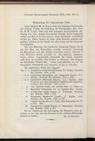 Erläuterung der beigegebenen Tafel