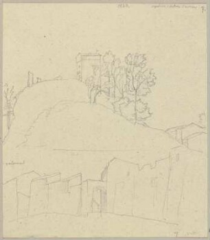 Colonna