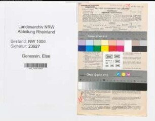 Entnazifizierung Else Genessin, geb. 09.11.1901 (Angest.)