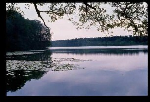 Dagow-See 18.8.80.