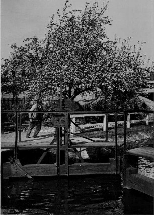 Frühling an der Kahnschleuse. Der Schleusenwärter bei der Arbeit. Im Hintergrund ein blühender Baum