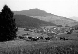 Gresgen: Vom Rümmelesbühl gegen Adelsberg und Zeller Blauen; mit Kühen