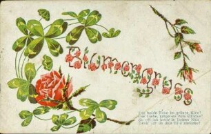 Blumengruss - Die holde Rose im grünen Klee! [...]