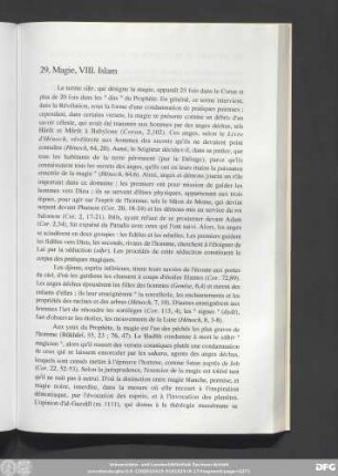 29, Magie, VIII. Islam