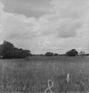 Savannenlandschaft : Blick über die Savannenlandschaft von Mufindi