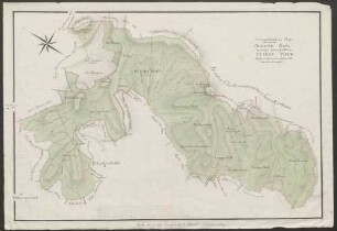 Geometrischer Plan über den im Sexauer Bann liegenden herrschaftlichen Peters-Wald