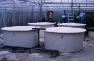 Fotografie: Gartenbautechnik-Gewächshaus, Düngung