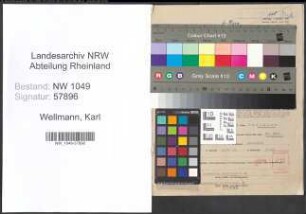 Entnazifizierung Karl Wellmann , geb. 12.05.1894 (Zahnarzt)