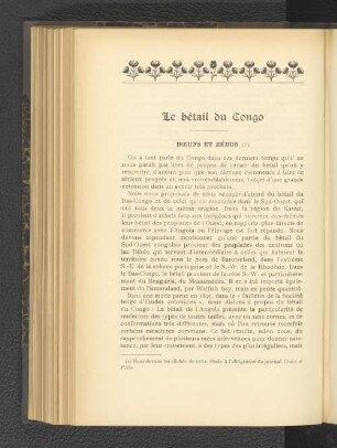 Le bétail du Congo