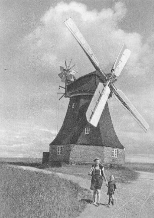 Kühlungsborn. Brunshöver Möhl, Ansichtskarte