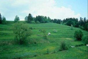 Ackerterrassen am Ortsrand