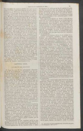 Capítulo XXIX. - Las selvas del Amazonas.