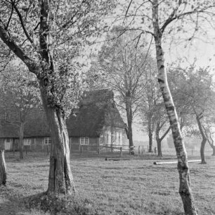 Fachwerkhaus mit Reetdach im Grünen