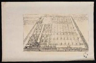 Conrad Seÿschab Garten und Pomeranzen Haus in Gostenhof beÿ Nürnberg 1708. - Seyschab, Conrad, Garten, Nürnberg-Gostenhof