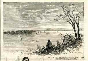 Mr. Tweed contemplates New York from the palisades : Tweed betrachtet vom Strand aus New York