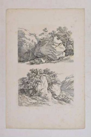 Studienblatt mit zwei Ansichten von Vegetation an einem Felsblock, aus: Gründliche Zeichenschule für Landschafter [..], Heft I: Anfangsgründe für Landschaftszeichner,