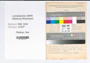 Entnazifizierung Ilse Pleitner, geb. 06.07.1909 (Bankangestellte)