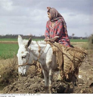 Ägypten: Nildelta