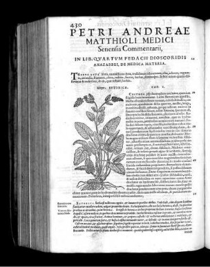 Petri Andreae Matthioli Medici Senensis Commentarii, In Lib. Quartum Pedacii Dioscoridis Anazarbei, De Medica Materia