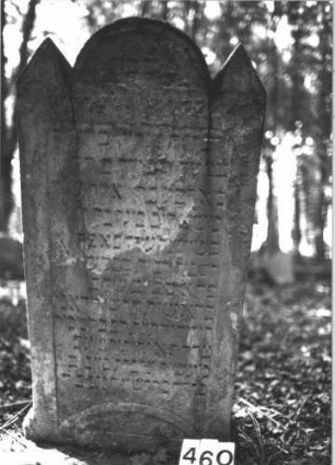 Grabstein 460 (Index: 99898181) Material: Sandstein Zustand: stark verwittert Maße HxBxT: 135x62x12 cm Beschreibung: Stele mit eingezogenem Rundbogenabschluss, pyramidenartig erhöhte Einzüge, Bogenfeld schießt unten mit Zackenfries ab Symbolik: Zackenfries: Grabstein 460