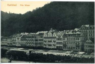 Karlsbad. Alte Wiese