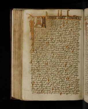Johannes de Garlandia: Liber de synonymis.