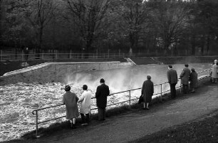 Freiburg: Hochwasser der Dreisam am Hirzbergsteg