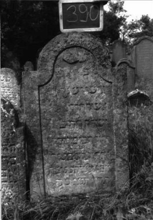 Grabstein 390 (Index: 100102841) Material: Sandstein Zustand: stark verwittert, teilweiser Textverlust Maße HxBxT: 110x60x10 cm Beschreibung: Stele, eingezogener Rundbogenabschluss, Schriftfeld eingetieft mit Konvexbogenabschluss: Grabstein 390