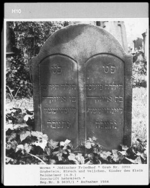 Grabstein von Hirsch und Veilchen, Kinder des Eisik Reinheimer