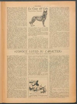 La caza del lobo