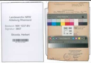 Entnazifizierung Herbert Strzoda , geb. 22.09.1907 (Angestellter)