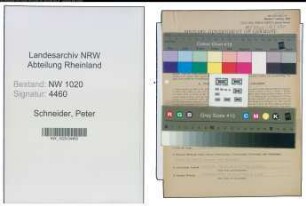 Entnazifizierung Peter Schneider , geb. 05.12.1896 (Verwaltungsangestellter)