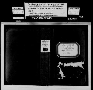 Ersatz-Kompanie Reserve 110